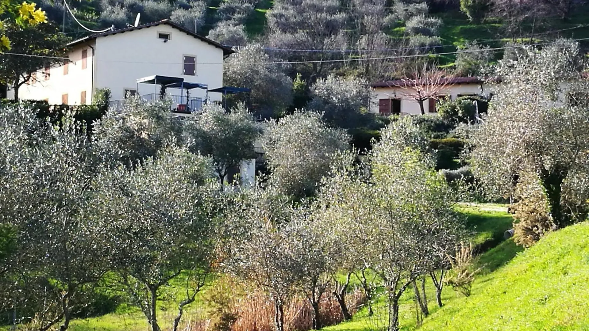 Tenuta Degli Obizzi Apartment Montecarlo